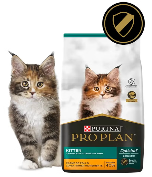 pro plan kitten pro plan kitten